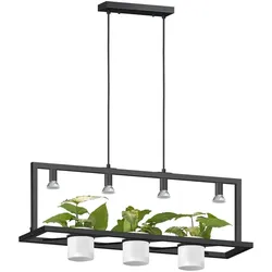 Zuma Line 003064-026362 Pendelleuchte PLANTER GU10