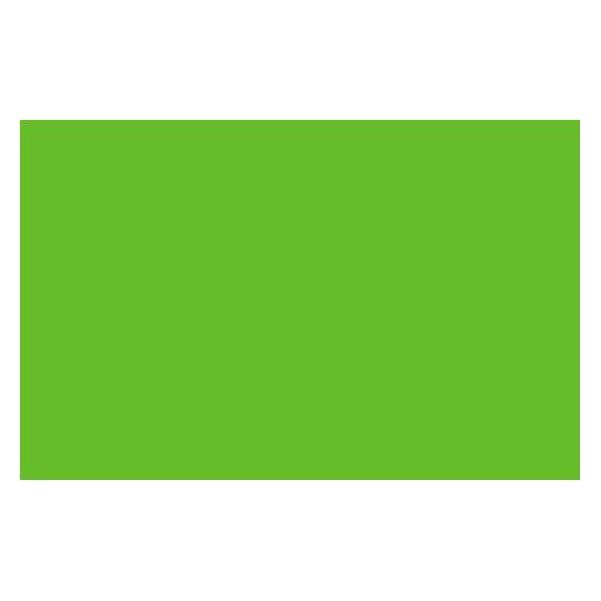 Winsor & Newton Ac Spray 400Ml Vivid Lime Green 740 (400 ml) (4450740)