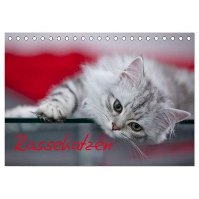 Rassekatzen (Tischkalender 2027 DIN A5 quer), CALVENDO Monatskalender
