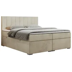 BOXBETT LOPE 140/200 - Beige Velvet - H3