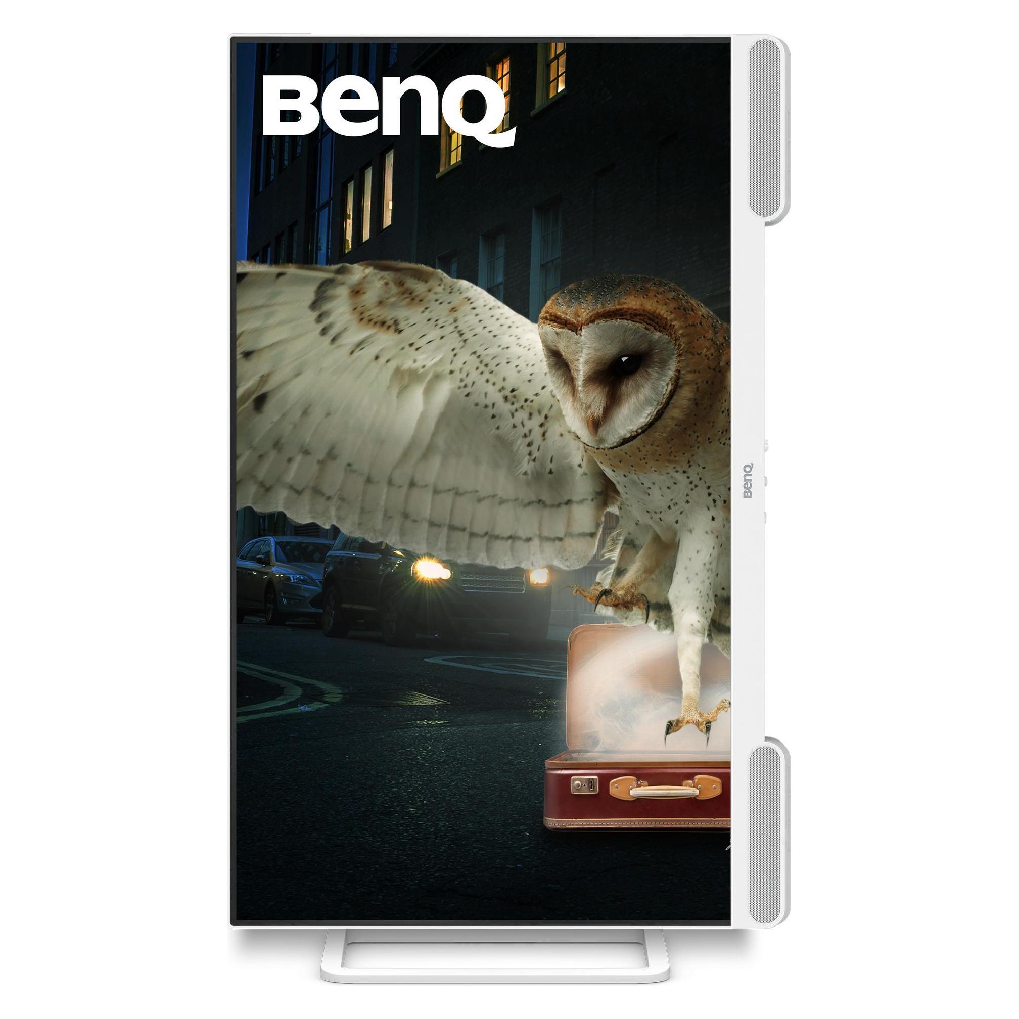 BenQ EW3290U 31.5IN 3840X2160 (3840 x 2160 Pixel, 31.50") (9H.LN4LJ.LBE)