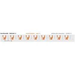 Pollmann 2217113 Phasenschiene G-1L-160 ML (9TE) G-1L-160ML(9TE)  - 50 Stück