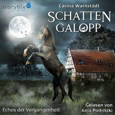 Schattengalopp - Carina Warnstädt, Audio, 9783988187741