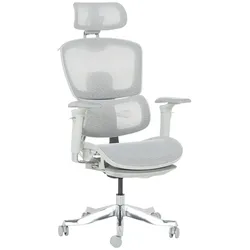 Carmen HAM W Ergonomischer Bürostuhl – Grau