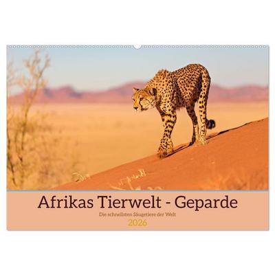 Afrikas Tierwelt - Geparde (Wandkalender 2026 DIN A2 quer), CALVENDO Monatskalender