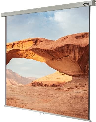 celexon Leinwand Rollo Professional 300 x 300 cm 1090048