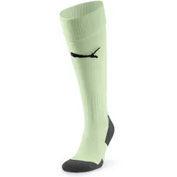 PUMA Team Liga Core Stutzenstrümpfe 60 - fresh mint 39-42