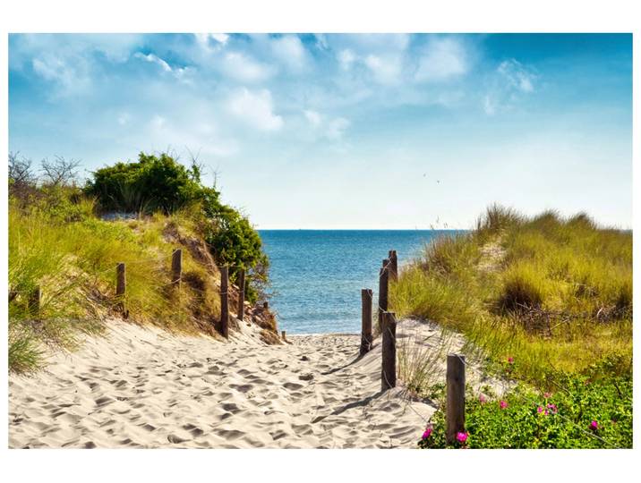 Alubild Spaziergang Zum Meer image LAND