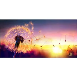 CoverYourDesk, Unterlage, Schreibtischunterlage Pusteblume im Sonnenlicht
