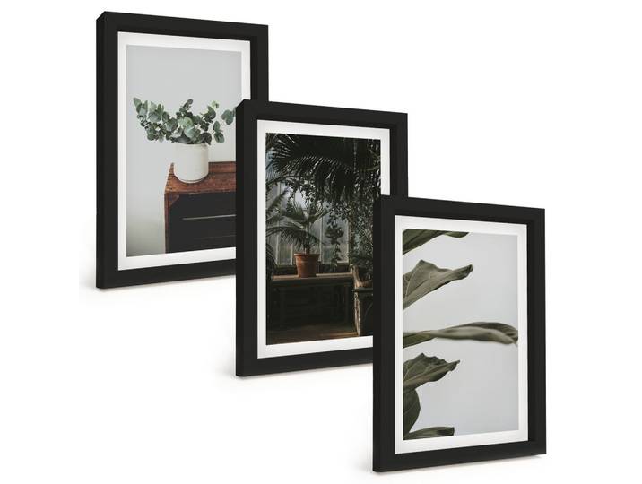 BILDER SET 3er Set - 20x30 cm Schwarzer Rahmen - Rustikale Topfpflanzen