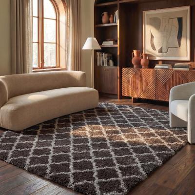SAFAVIEH Indie Shag Humeyra 2-inch Thick Rug