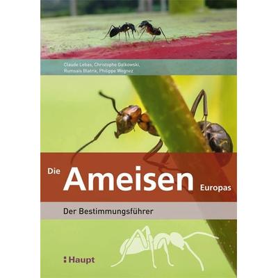 Die Ameisen Europas, Taschenbuch von Claude Lebas, Haupt Verlag, 978-3-258-08127-4