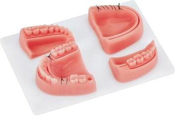 Inspired Deals Dental Suture Practice Model Silicone Oral Surgery Training Simulator For Students & Professionals Dental Suture Practice Model Silicone Oral Surgery Training Simulator For Students & Professionals