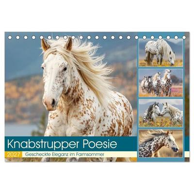 Knabstrupper Poesie. Gescheckte Eleganz im Farmsommer (Tischkalender 2027 DIN A5 quer), CALVENDO Monatskalender