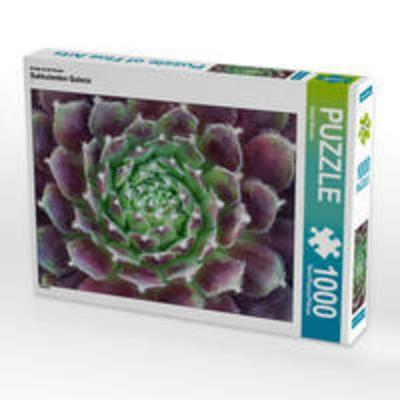 CALVENDO Puzzle Sukkulenten Galerie 1000 Teile Lege-Größe 64 x 48 cm Foto-Puzzle Bild von Beate Wurster