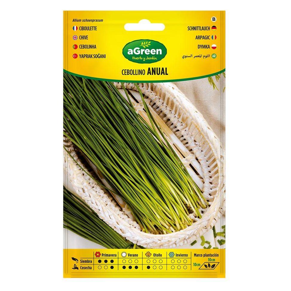 Agreen On seeds annual chives 000239bolsh (Kräutersamen) (49394567)