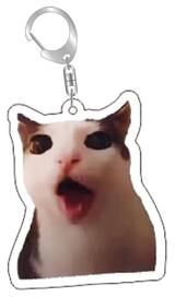 DynamicDeals Funny Cat Meme Keychain Cute Bag Charm Gift For Cat Lovers & Best Friends style 1