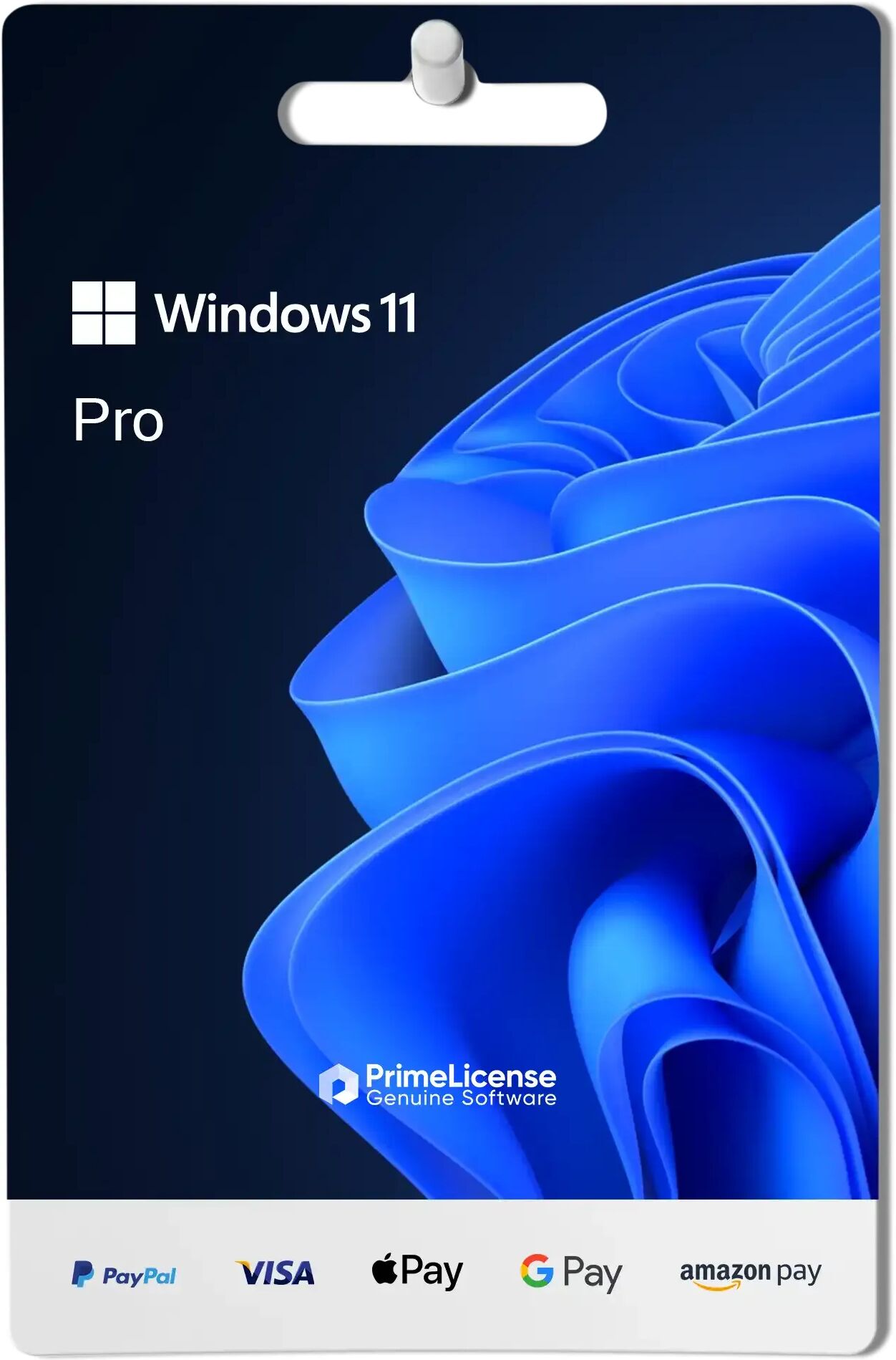 Microsoft Windows 11 Pro
