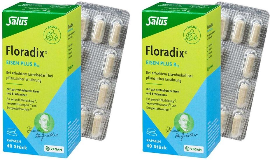 Floradix Eisen Plus B12 vegan Kapseln 2x40stk