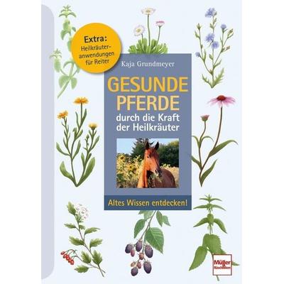 Gesunde Pferde durch die Kraft der Heilkräuter, Taschenbuch von Kaja Grundmeyer, Müller Rüschlikon, 978-3-275-02251-9