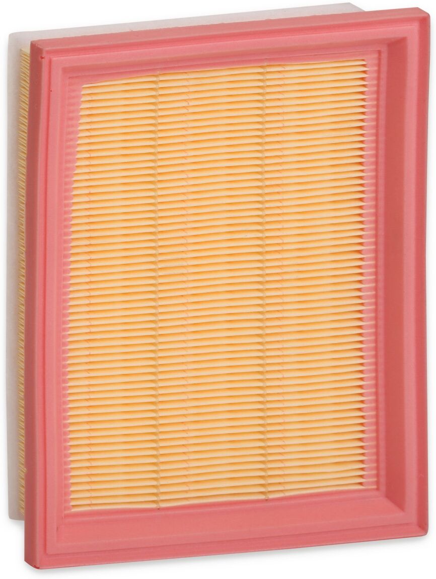 RIDEX 8A0404 Air filter