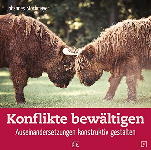 Johannes Stockmayer - Konflikte bewältigen: Auseinandersetzungen konstruktiv gestalten - Preis vom 09.10.2026 07:28:09 h