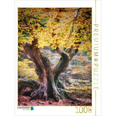 CALVENDO Puzzle Alte Buche im Herbst | 1000 Teile Lege-Größe 64x48cm Foto-Puzzle für glückliche Stunden