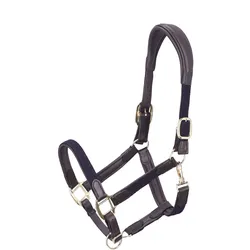 Lederhalfter RS Braidy anatomisch brown/navy/brass PONY