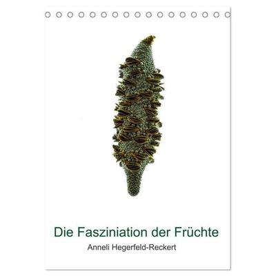 Die Faszination der Früchte (Tischkalender 2027 DIN A5 hoch), CALVENDO Monatskalender