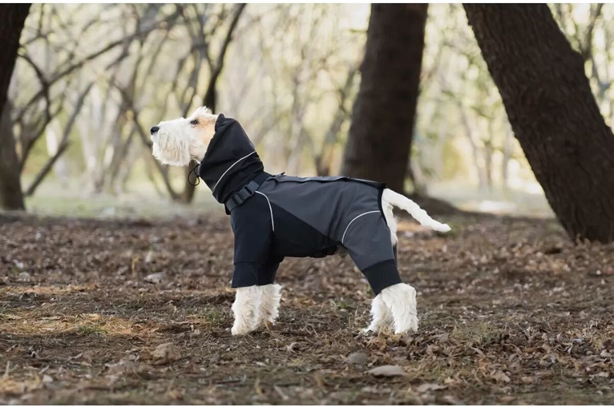 INF Hunde Regenmantel mit Rückenöffnung: Wasserdichte & Winddichte Vollschutzjacke für Haustiere M