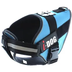i-DOG NeoCAM (M, Hund), Halsband + Leine