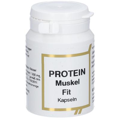 Protein Muskel FIT KPS 60 St Kapseln