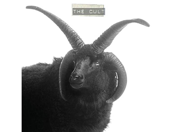 Cult