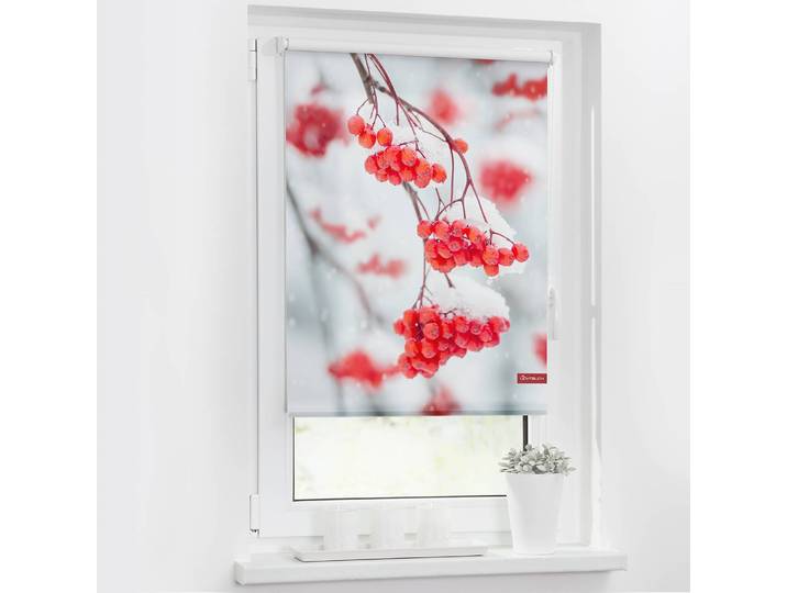 Klemmfix-Rollo Vogelbeeren 120 x 150cm Rot