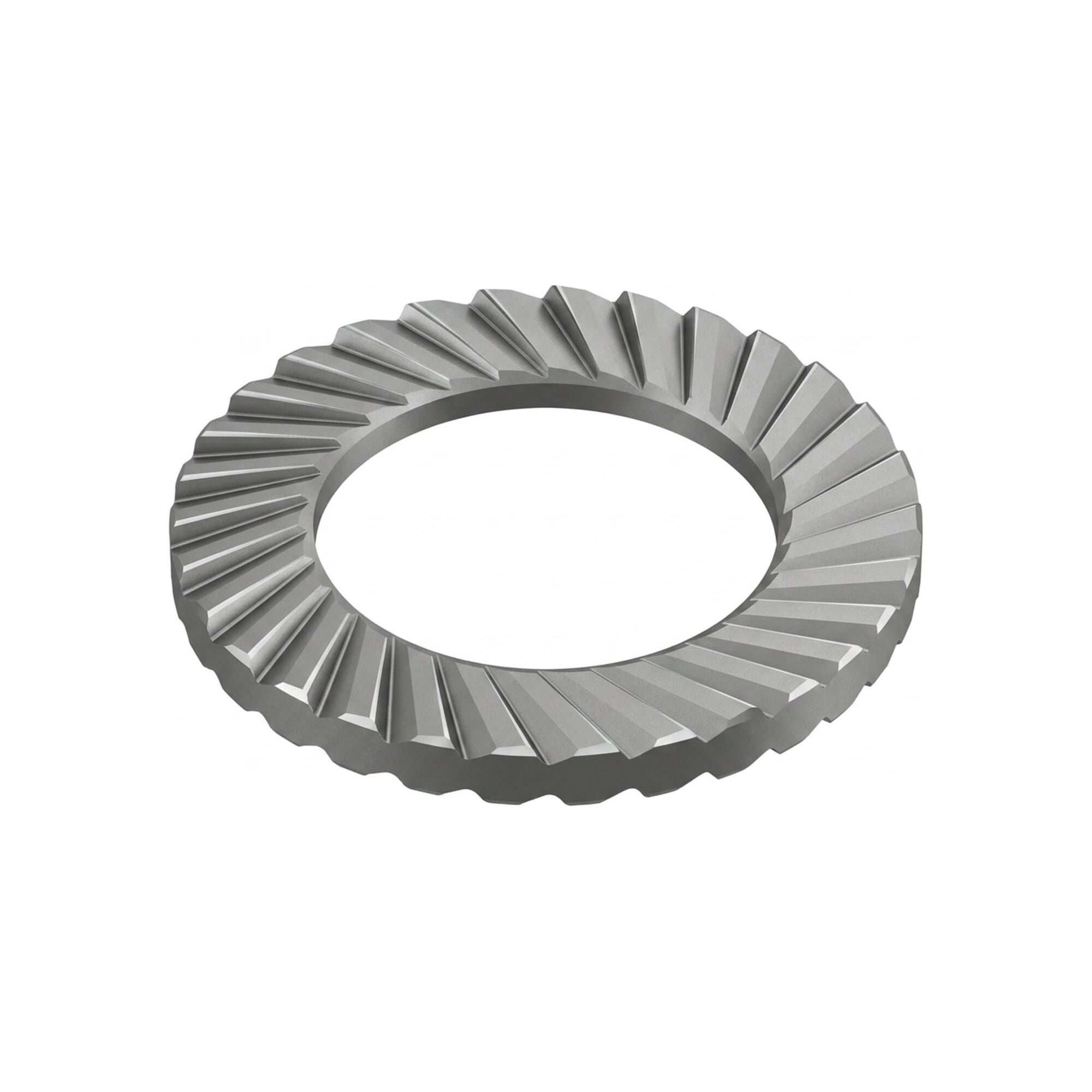 Schnorr Scheiben Federstahl S 2 S (404400)