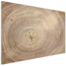 Allboards, Präsentationstafel, Magnettafel, 60 x 40 cm, Holz (60 x 40 cm)