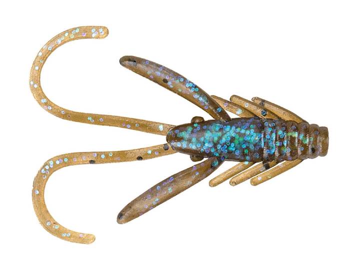 Red Eye Shrimp, 2.5 cm, Brown Electric, 10 ST