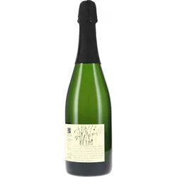 Particella 128 Spumante dell ́Emilia Cinque Campi 2023 BIO