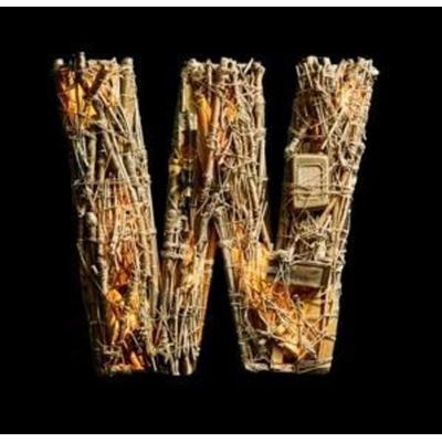 Bad Habits - Wellbad, CD
