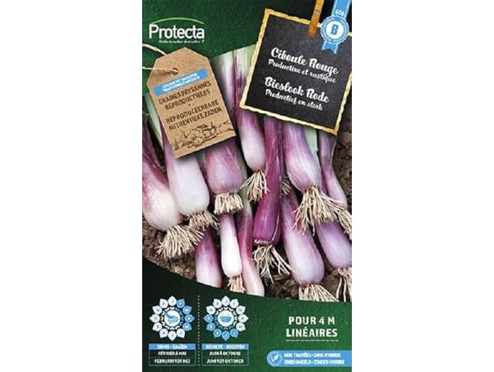 Protecta Groente zaden: Bieslook Rode