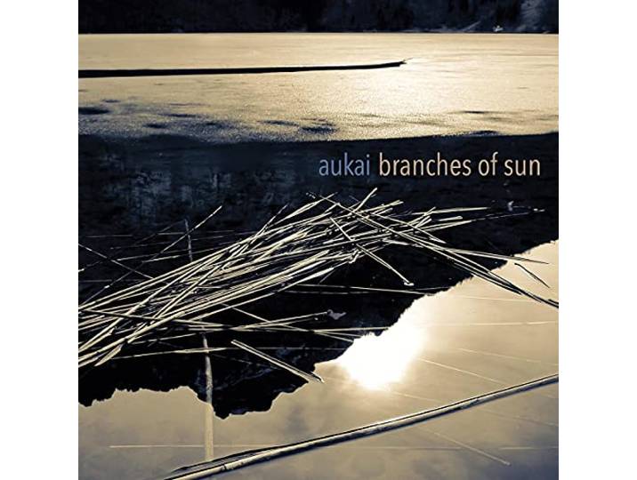 Branches of Sun