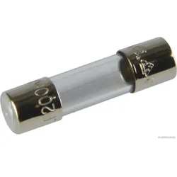 HERTH&BUSS Sicherung, Glas, F flink, 5 x 20mm, 250V max. - 50295041