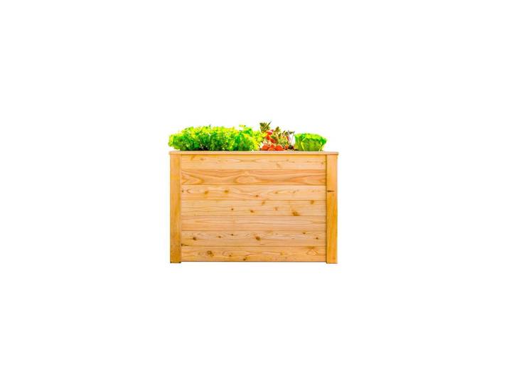 HOCHBEET HOCHBEET LÄRCHE 100
