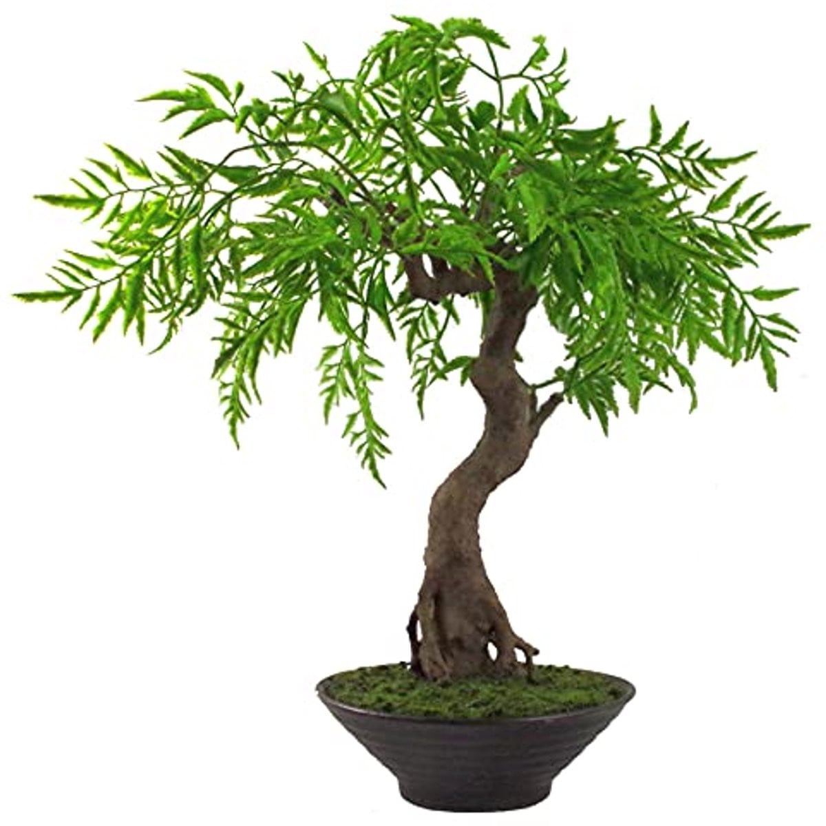 Kunst Bonsai Boom Mini Ficus Groen - 45 cm Hoog