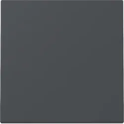 Gira 329628 Wippe System 55 Anthrazit