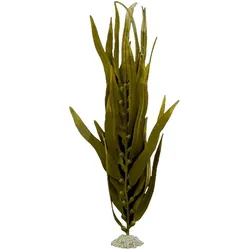 Europet Kelp (Dekoration, Pflanzen), Aquarium Dekoration