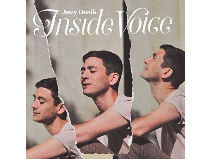 Joey Dosik - Inside Voice