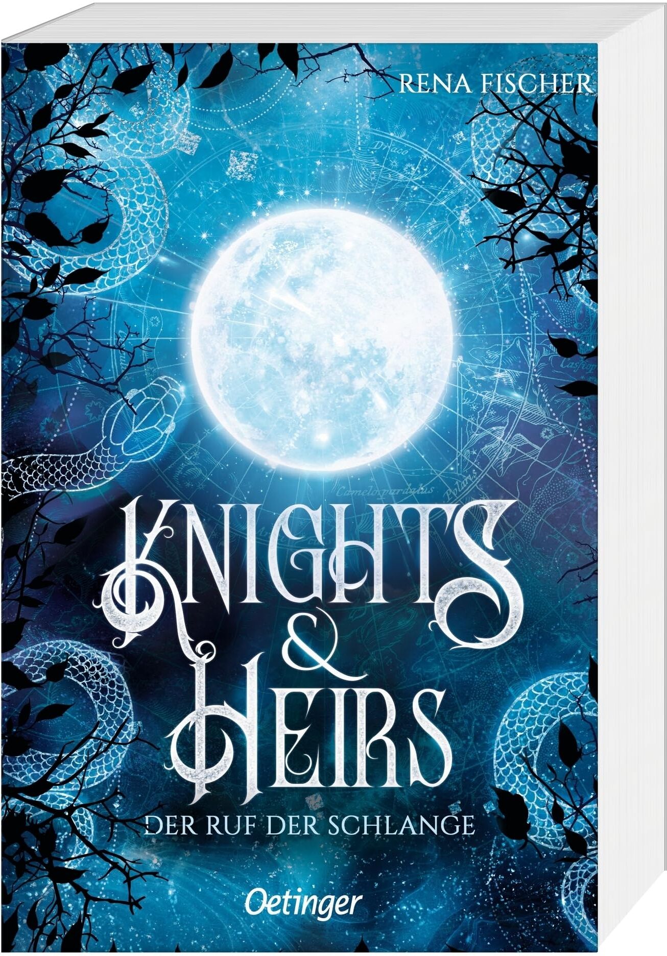 Rena Fischer - Knights & Heirs 1. Der Ruf der Schlange: Fesselnde Romantasy über Geheimnisse, Intrigen und bedrohliche Mächte für Young Adult-Fans ab 14 - Preis vom 10.10.2026 11:48:34 h