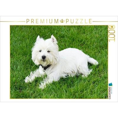 CALVENDO Puzzle Süßer West Highland White Terrier liegt im Gras | 1000 Teile Lege-Größe 64x48cm Foto-Puzzle für glückliche Stunden