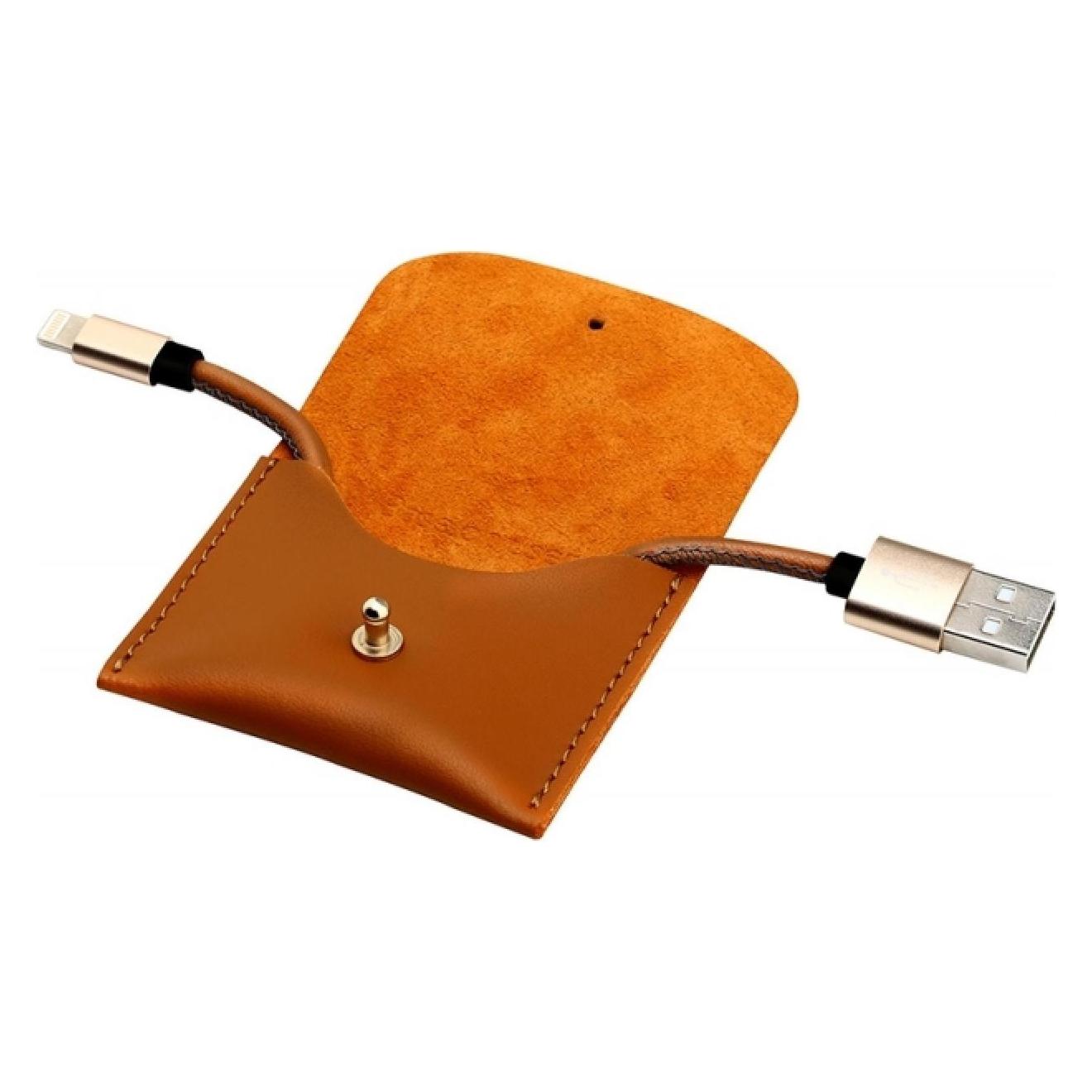 Baseus USB-A Lightning Kabel Leder Etui (0.15 m) (CALYN-AOT)